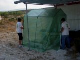 Colocacion del invernadero